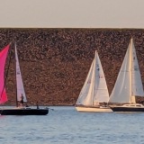 Hot Pink Surges Ahead