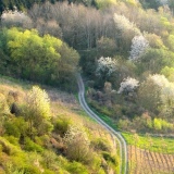 Oh Spring!