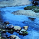 Sinuous Blues