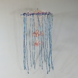 Jelly Fish