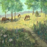 The Picnic Place