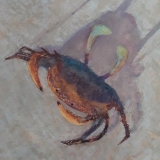 Put Up Your Dukes!, Pastel