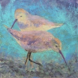 Foraging